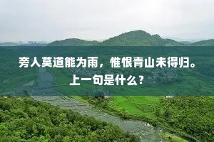 旁人莫道能为雨，惟恨青山未得归。上一句是什么？