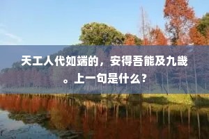 天工人代如端的，安得吾能及九畿。上一句是什么？