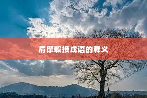 肩摩毂接成语的释义