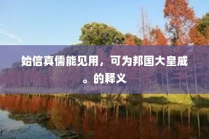 始信真儒能见用，可为邦国大皇威。的释义