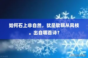 如何石上非自然，犹是软弱从风枝。出自哪首诗？