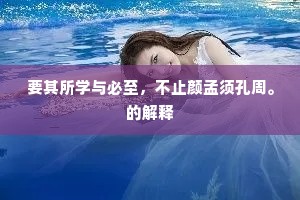 要其所学与必至，不止颜孟须孔周。的解释