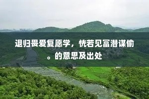 退归畏爱复愿学，恍若见富潜谋偷。的意思及出处