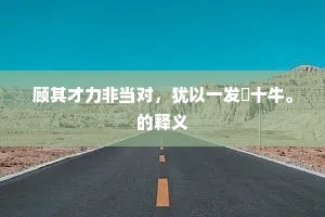 顾其才力非当对，犹以一发紖十牛。的释义