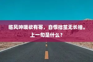 临风呻哦欲有寄，自恨拙茧无长抽。上一句是什么？
