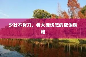 少壮不努力，老大徒伤悲的成语解释