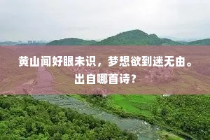 黄山闻好眼未识，梦想欲到迷无由。出自哪首诗？