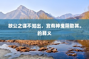 故公之谋不知出，宜有神鬼阴助其。的释义