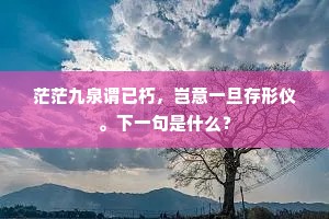 茫茫九泉谓已朽，岂意一旦存形仪。下一句是什么？