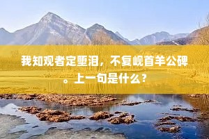我知观者定堕泪，不复岘首羊公碑。上一句是什么？