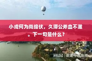 小戎何为尚缩伏，久滞公斧血不滋。下一句是什么？