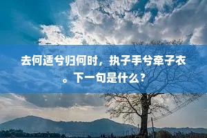 去何适兮归何时，执子手兮牵子衣。下一句是什么？