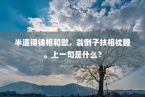 半道得钱相和歌，翁倒子扶相枕睡。上一句是什么？