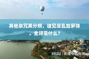 其他杂冗莫分辨，徒见漫乱如箩筛。全诗是什么？