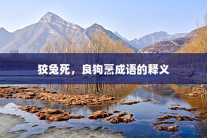 狡兔死，良狗烹成语的释义