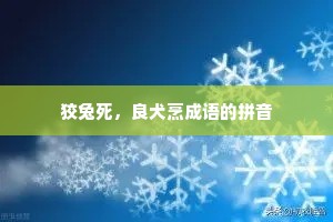 狡兔死，良犬烹成语的拼音