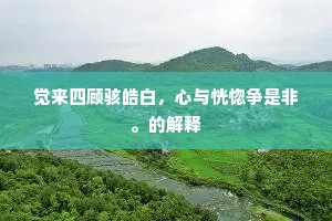 觉来四顾骇皓白，心与恍惚争是非。的解释