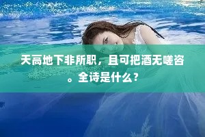 天高地下非所职，且可把酒无嗟咨。全诗是什么？