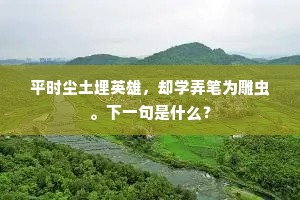 平时尘土埋英雄，却学弄笔为雕虫。下一句是什么？