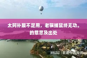 太阿补履不足用，老骥捕鼠终无功。的意思及出处