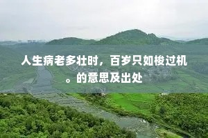 人生病老多壮时，百岁只如梭过机。的意思及出处