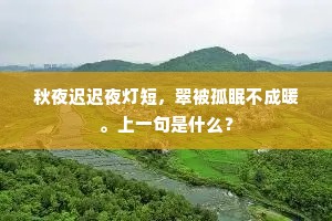 秋夜迟迟夜灯短，翠被孤眠不成暖。上一句是什么？