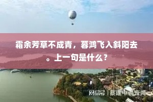 霜余芳草不成青，暮鸿飞入斜阳去。上一句是什么？