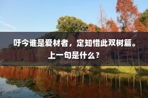 吁今谁是爱材者，定知惜此双树篇。上一句是什么？