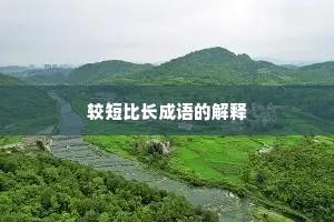 较短比长成语的解释