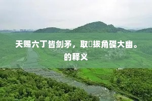 天赐六丁皆剑矛，取螾拔角磔大幽。的释义