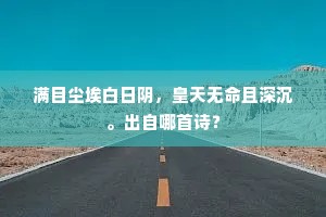 满目尘埃白日阴，皇天无命且深沉。出自哪首诗？