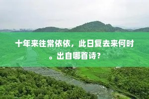 十年来往常依依，此日复去来何时。出自哪首诗？