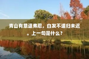 青山有意退弗忍，白发不逢归未迟。上一句是什么？
