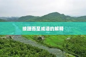 接踵而至成语的解释
