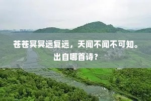 苍苍冥冥远复远，天闻不闻不可知。出自哪首诗？