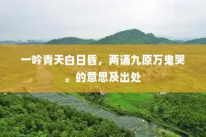 一吟青天白日昏，两诵九原万鬼哭。的意思及出处