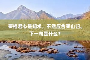 要格君心是知术，不然应合买山归。下一句是什么？