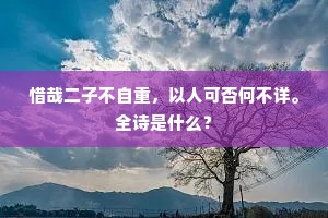 惜哉二子不自重，以人可否何不详。全诗是什么？
