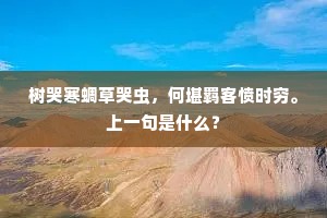 树哭寒蜩草哭虫，何堪羁客愤时穷。上一句是什么？
