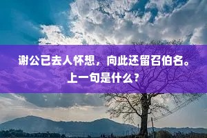 谢公已去人怀想，向此还留召伯名。上一句是什么？