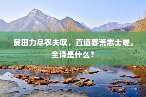 良田力尽农夫叹，直道春荒志士嗟。全诗是什么？