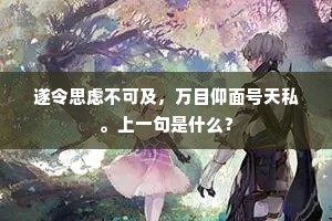 遂令思虑不可及，万目仰面号天私。上一句是什么？