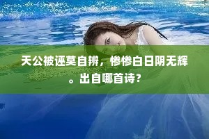 天公被诬莫自辨，惨惨白日阴无辉。出自哪首诗？