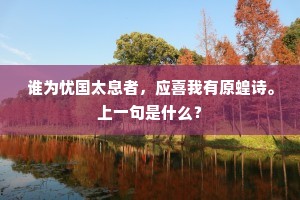 谁为忧国太息者，应喜我有原蝗诗。上一句是什么？