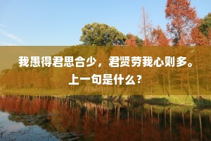 我愚得君思合少，君贤劳我心则多。上一句是什么？