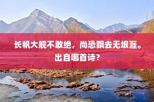长帆大舰不敢绝，尚恐飘去无垠涯。出自哪首诗？
