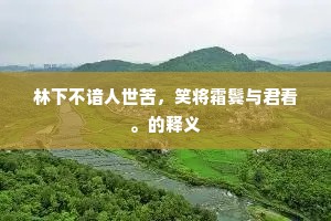 林下不谙人世苦，笑将霜鬓与君看。的释义