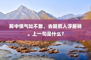 胸中慎气吐不散，去随箭入浮屠砖。上一句是什么？
