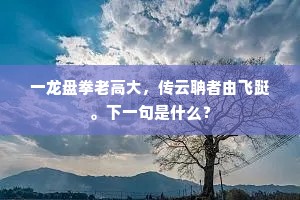 一龙盘拳老高大，传云聃者由飞跹。下一句是什么？