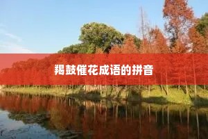 羯鼓催花成语的拼音
